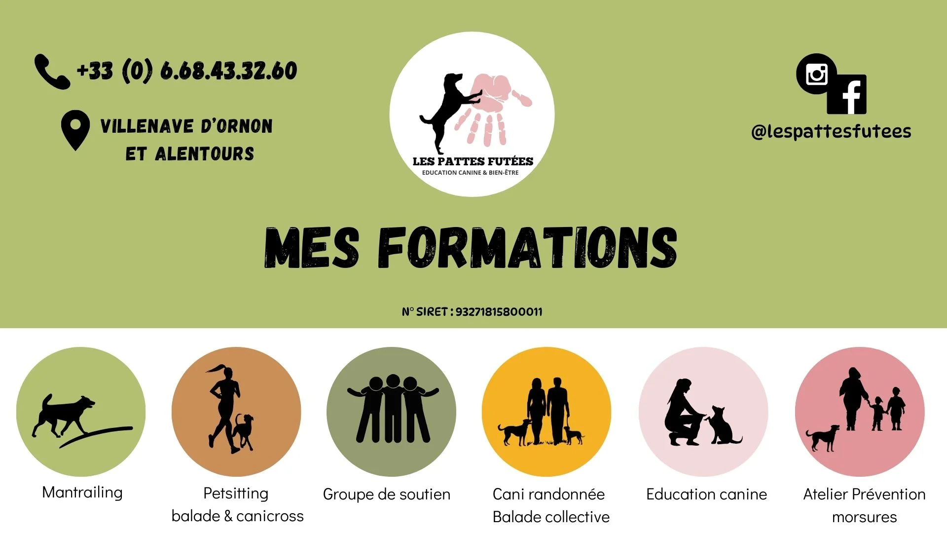 Formations stages éducateur canin